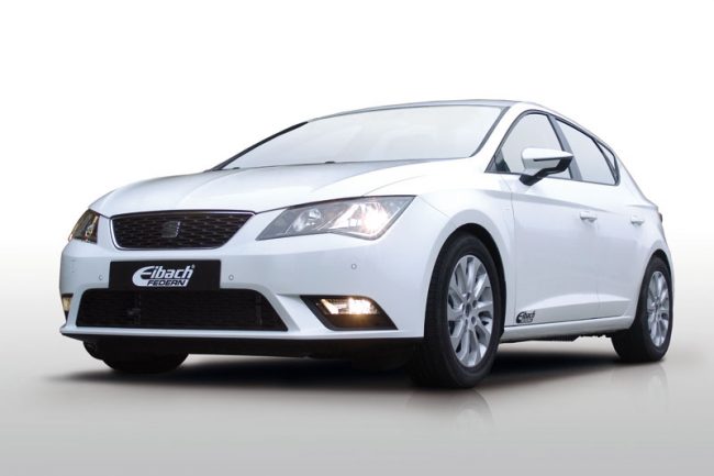 eibach-seatleon2012a